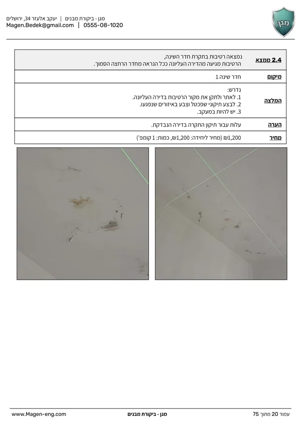 עמוד מתוך דוח לדוגמה - רטיבות בתקרת חדר שינה